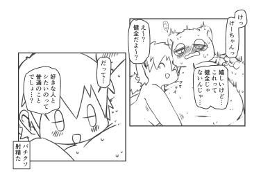 Image: 11377584