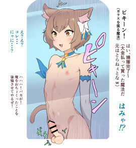 Image: 11671947