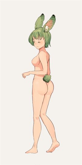 Image: 11331303