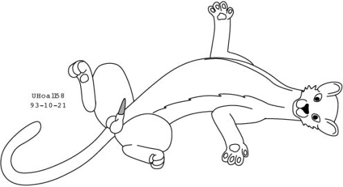 Image: 13012048