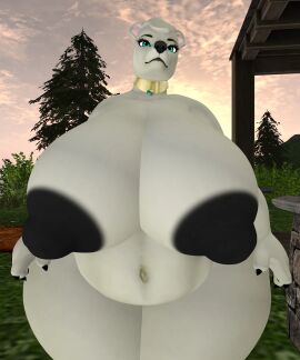 Image: 13018608