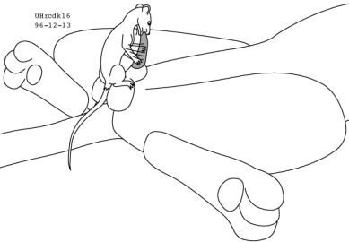 Image: 13012403