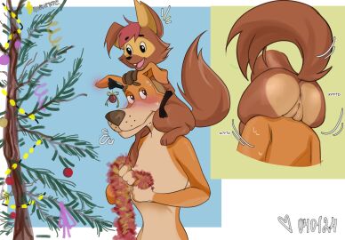 Image: 11900916