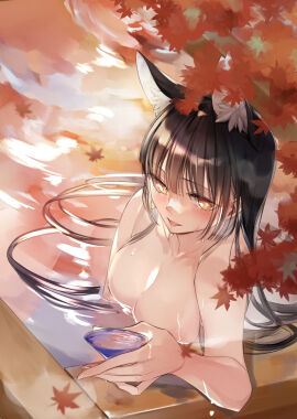 Image: 5255066
