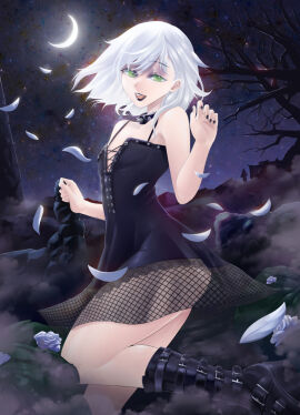 Image: 12111087