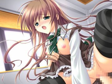 Image: 3017971