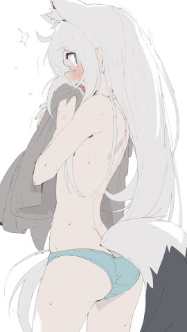 Image: 11351114