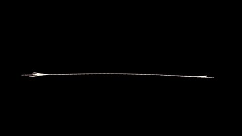 Image: 2504889