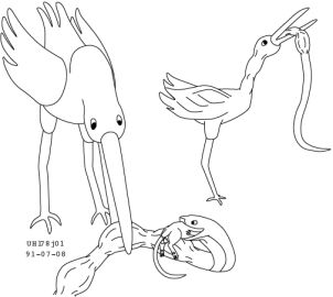 Image: 13010148
