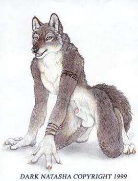 Image: 11167785