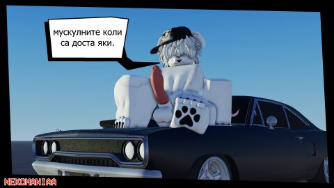 Image: 12547672