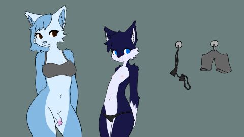 Image: 11099288
