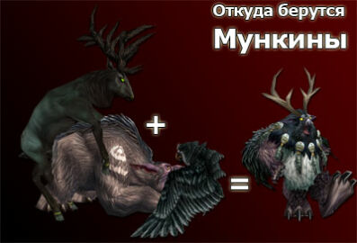 Image: 1219452