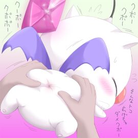Image: 444488