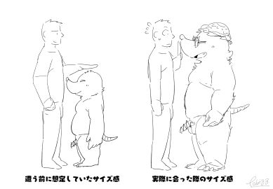 Image: 13226012
