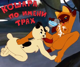 Image: 2498734