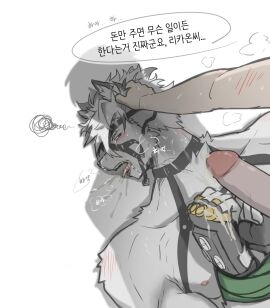 Image: 11339862