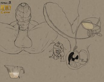 Image: 11806869