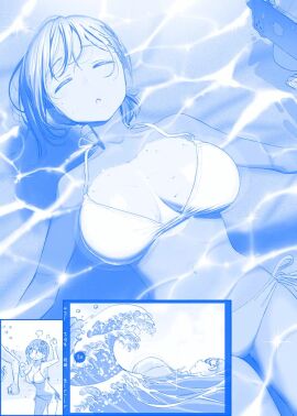 Image: 13041203
