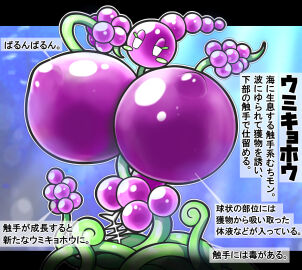 Image: 12768688