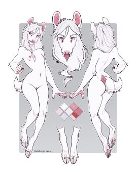 Image: 6376429