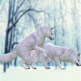 Image: 12130166