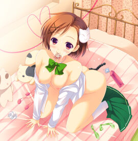Image: 37904