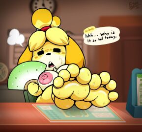 Image: 12205440