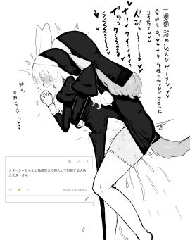 Image: 9336414