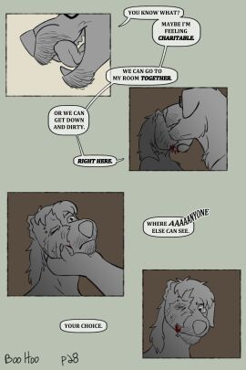 Image: 9535803