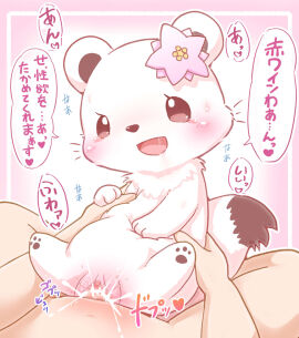 Image: 7600312