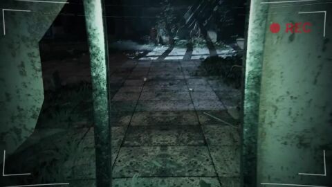 Image: 13105593