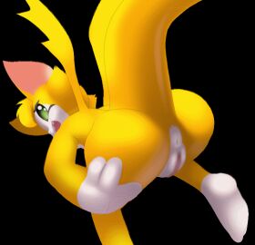 Image: 986969
