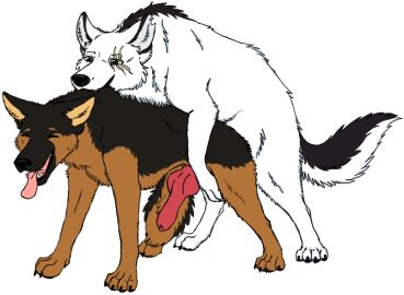 Image: 1517947