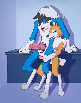 Image: 12486317