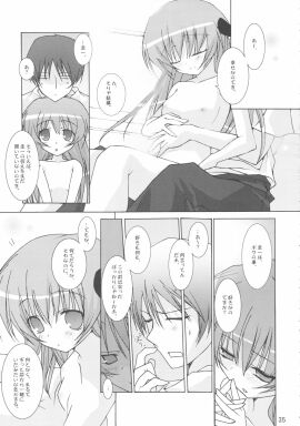 Image: 1874591