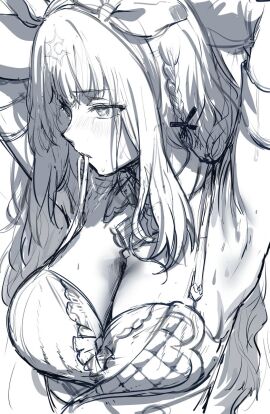 Image: 12951132
