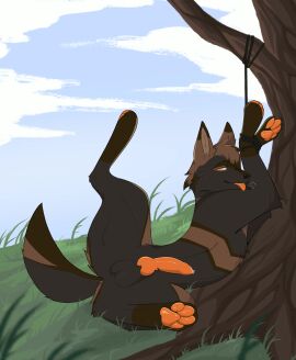 Image: 9052041