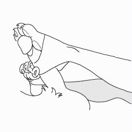 Image: 11936358