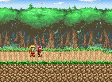 Image: 13051024