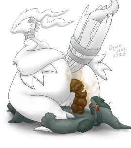 Image: 12731390