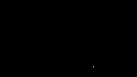 Image: 13111026