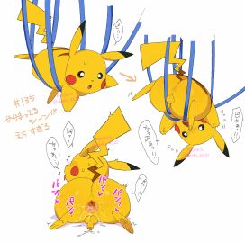 Image: 6337648