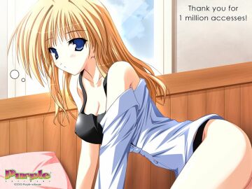 Image: 3078878