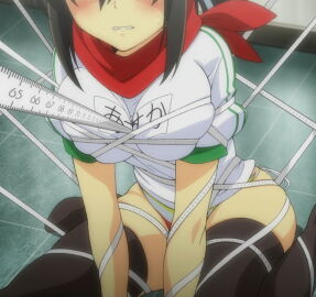 Image: 12608376