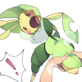 Image: 9968549