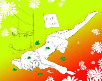 Image: 910025