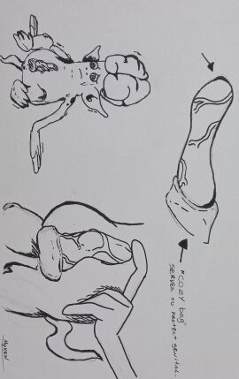 Image: 12009471
