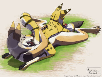 Image: 4771624