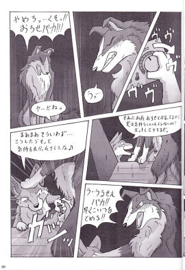 Image: 358459